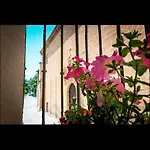 Apartment La Colegiata De