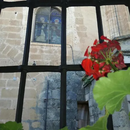 Apartment La Colegiata De